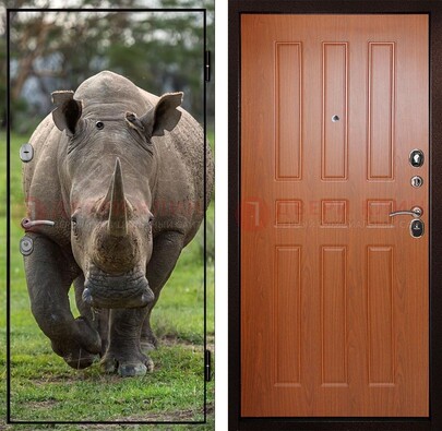 Металлическая дверь с фотопечатью носорога ДФ-31 в Волжском